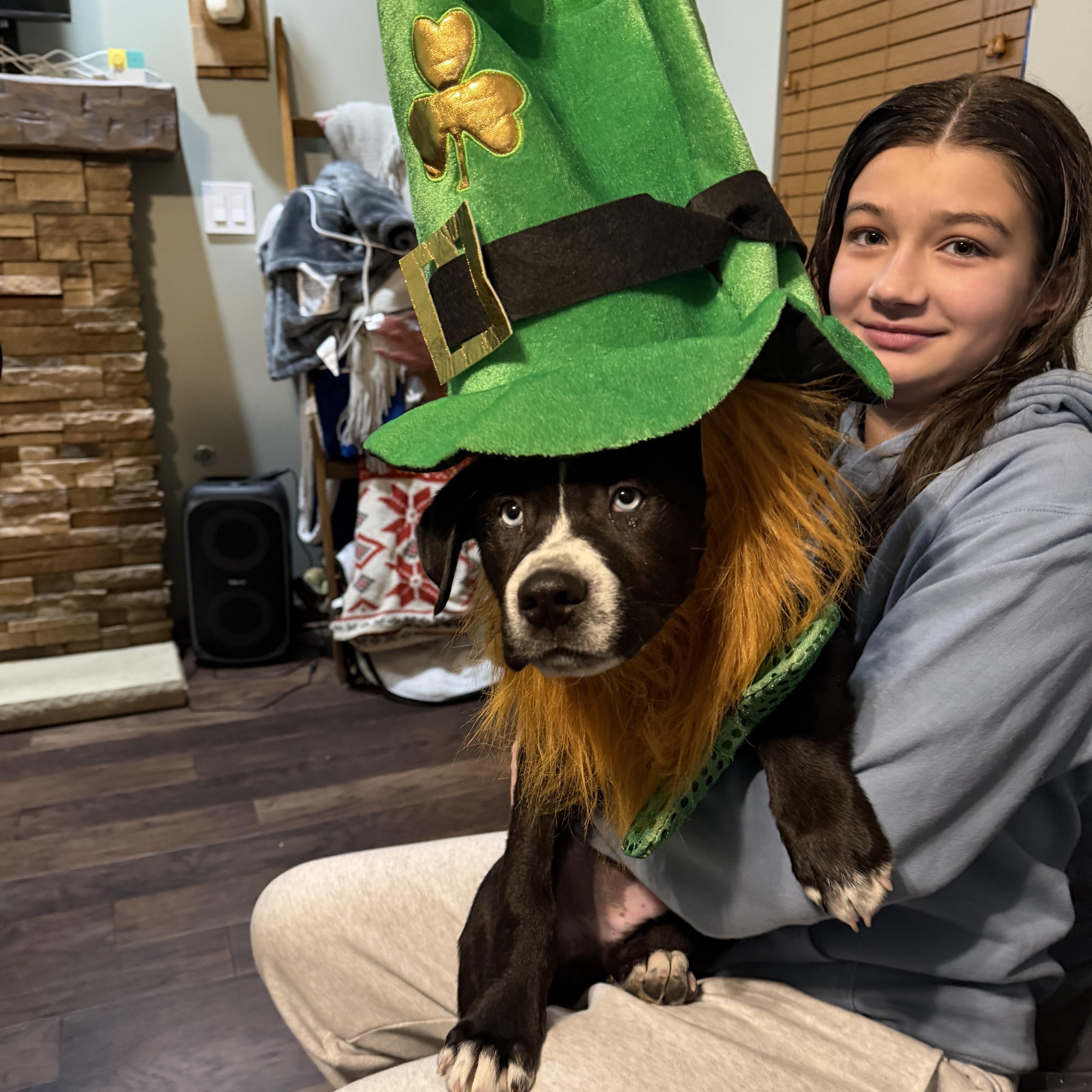 Enlarge Potato, a Adoptable mixed breed in Seville, OH image 4/5