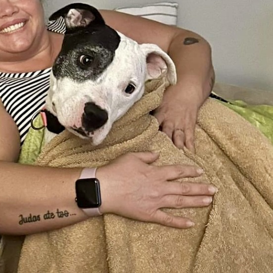 Patches — thumbnail 3