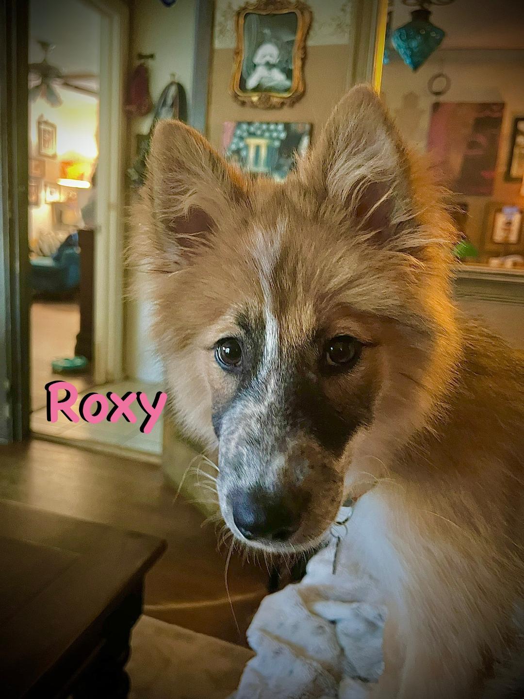 Roxy