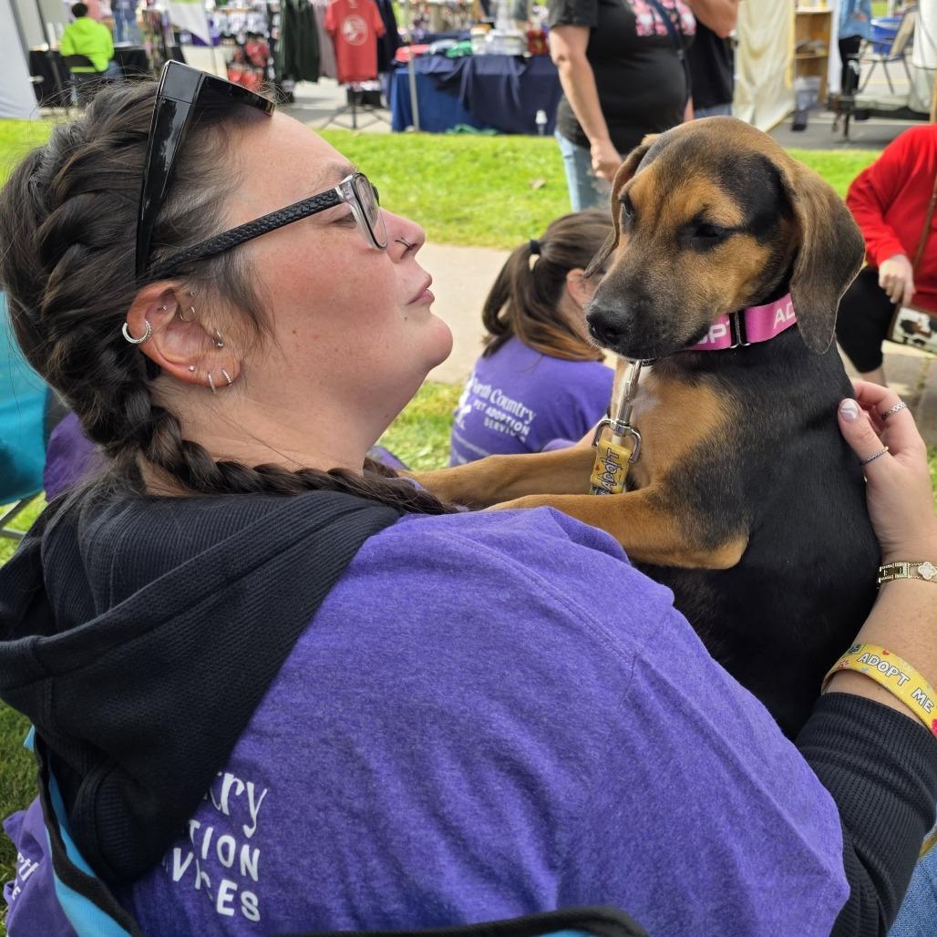 Enlarge Bing, a Adoptable Mixed Breed in Glenfield, NY image 3/4