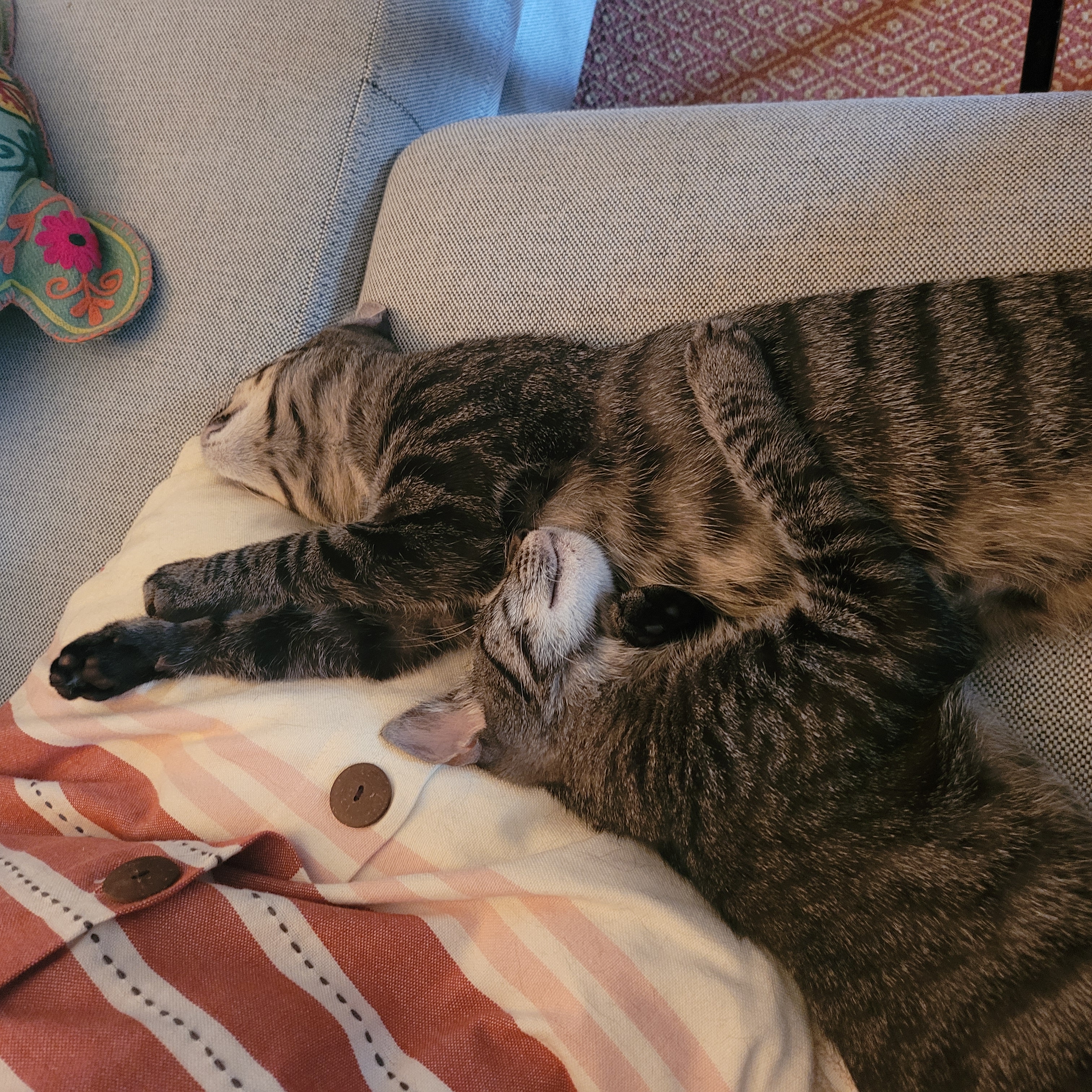 Pebbles and Bam Bam