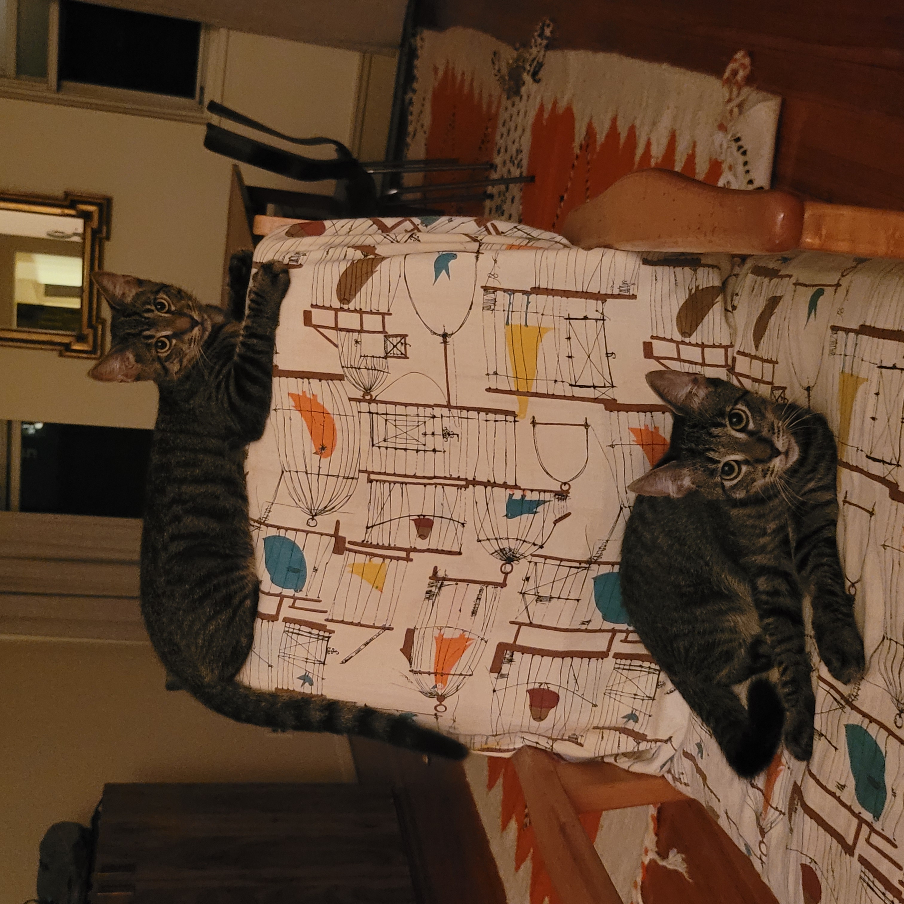 Pebbles and Bam Bam 2