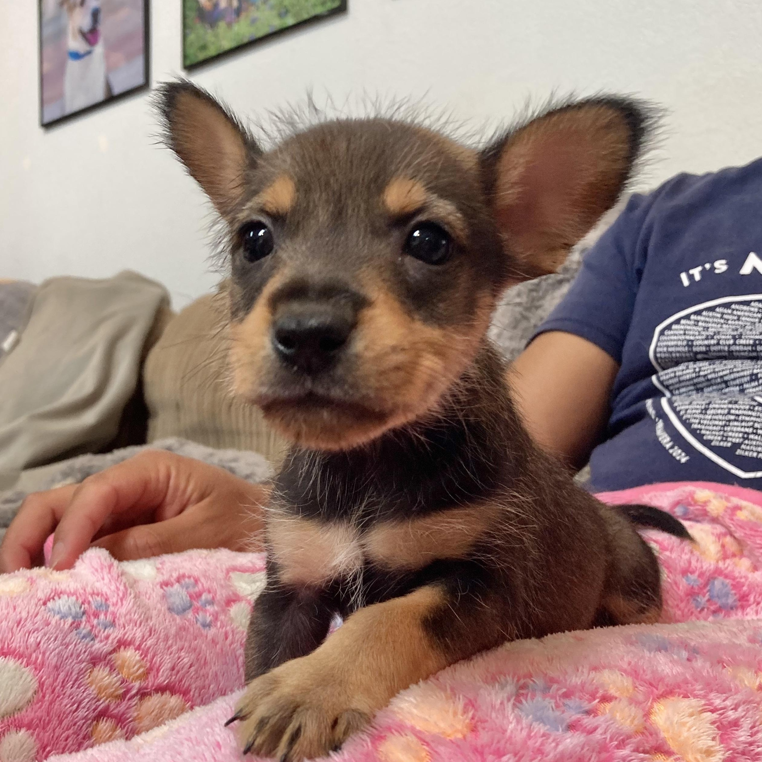 Bullseye — thumbnail 2