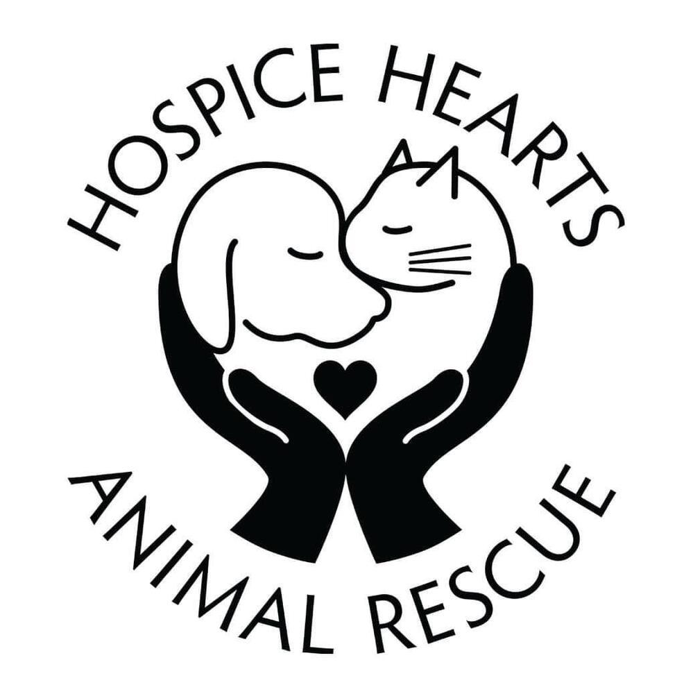 Matchmaker - Dog, Adoptable, Adult Female Mixed Breed.