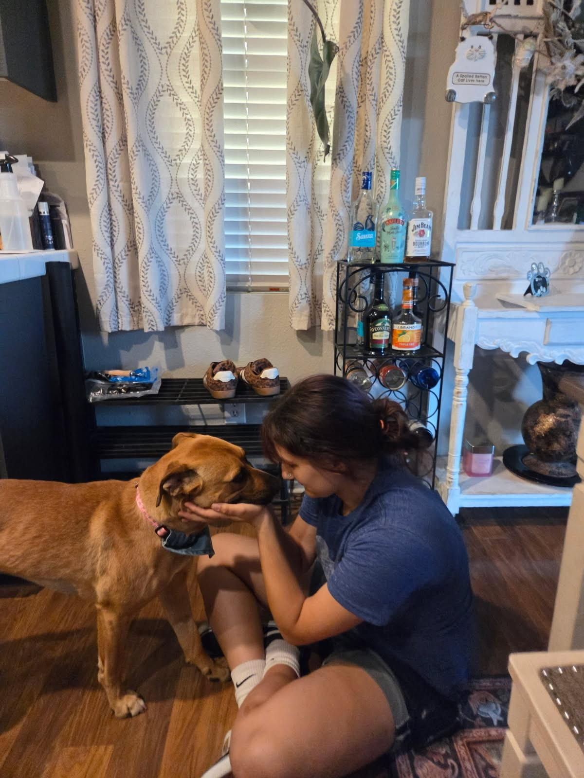 Enlarge Himiko/Rooster, an adopted mixed breed in Murrieta, CA image 5/5