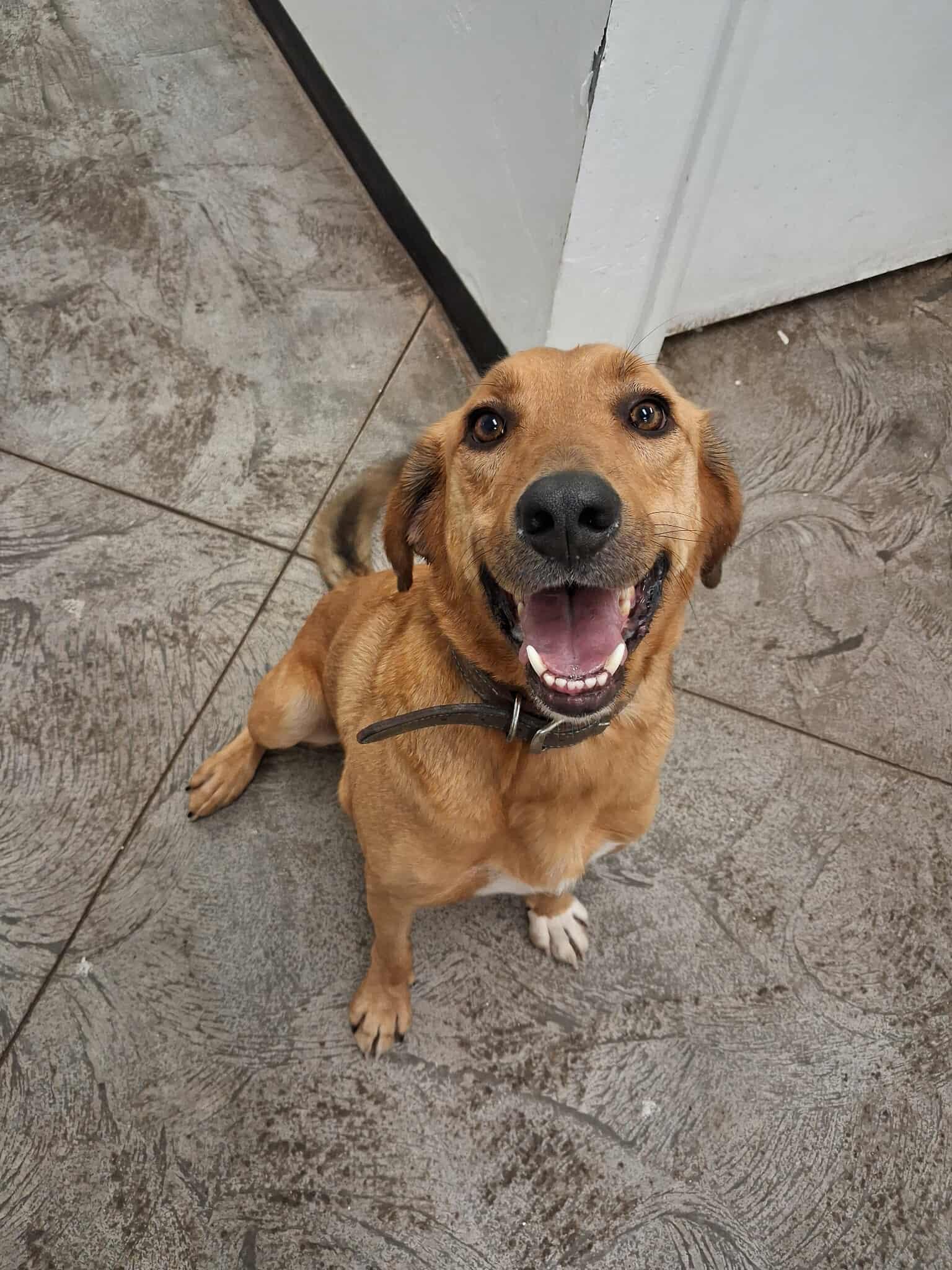 Ruger