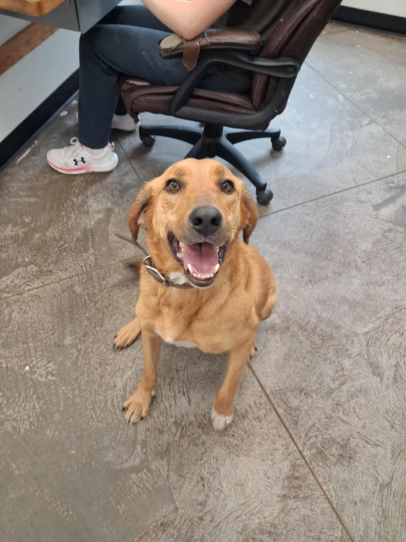 Ruger