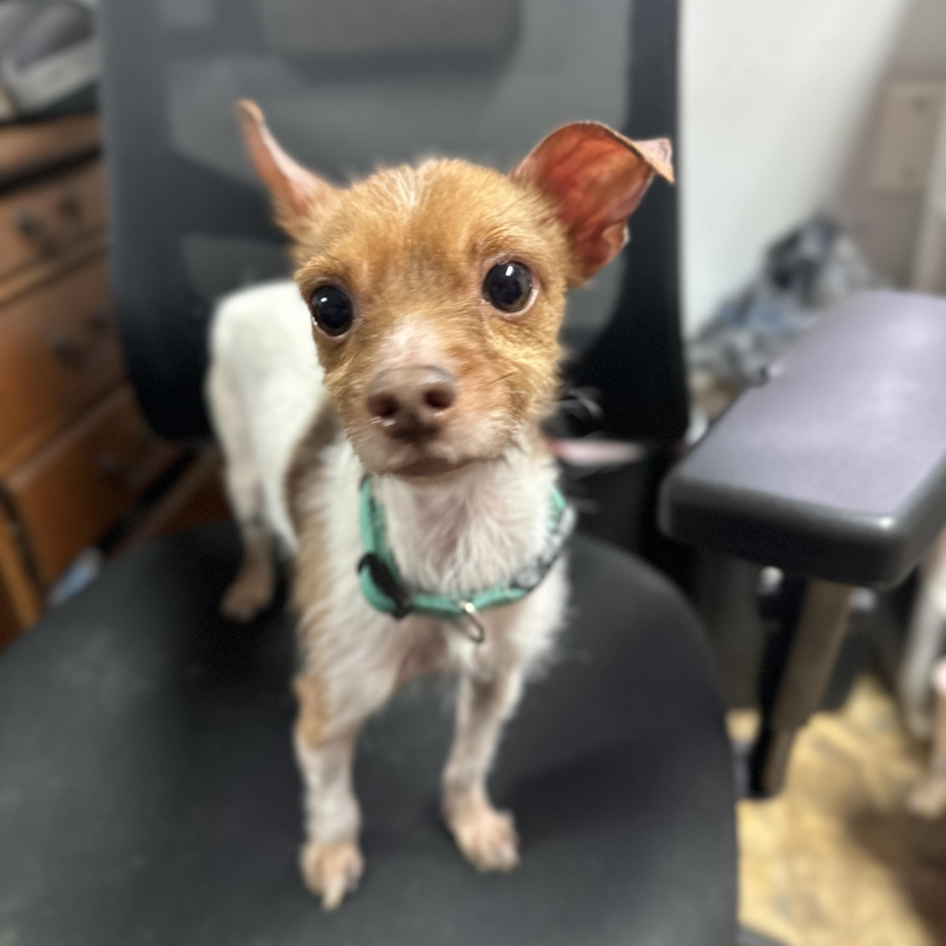 Zero — thumbnail 4