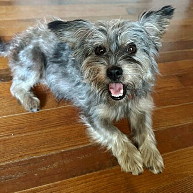Molly