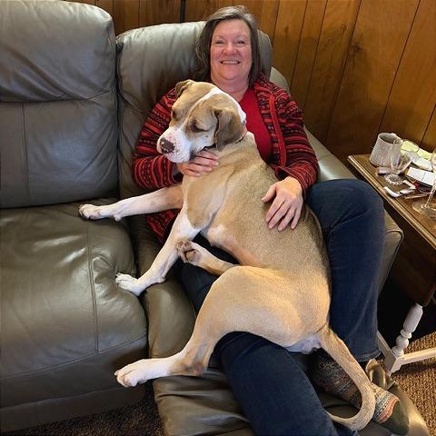 Enlarge Ruth, a Adoptable mixed breed in Chicago, IL image 2/6