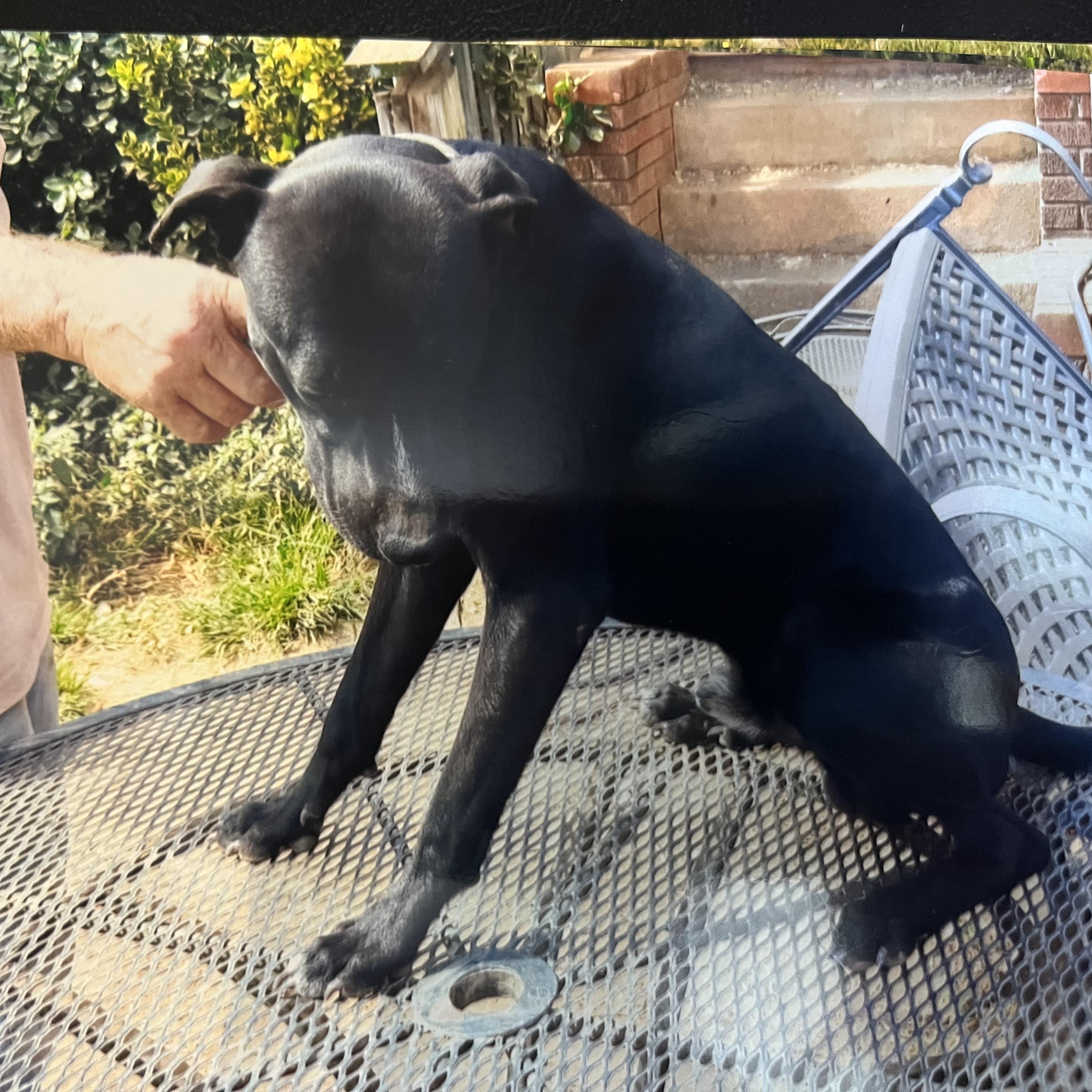 Stripe (Community Assist)