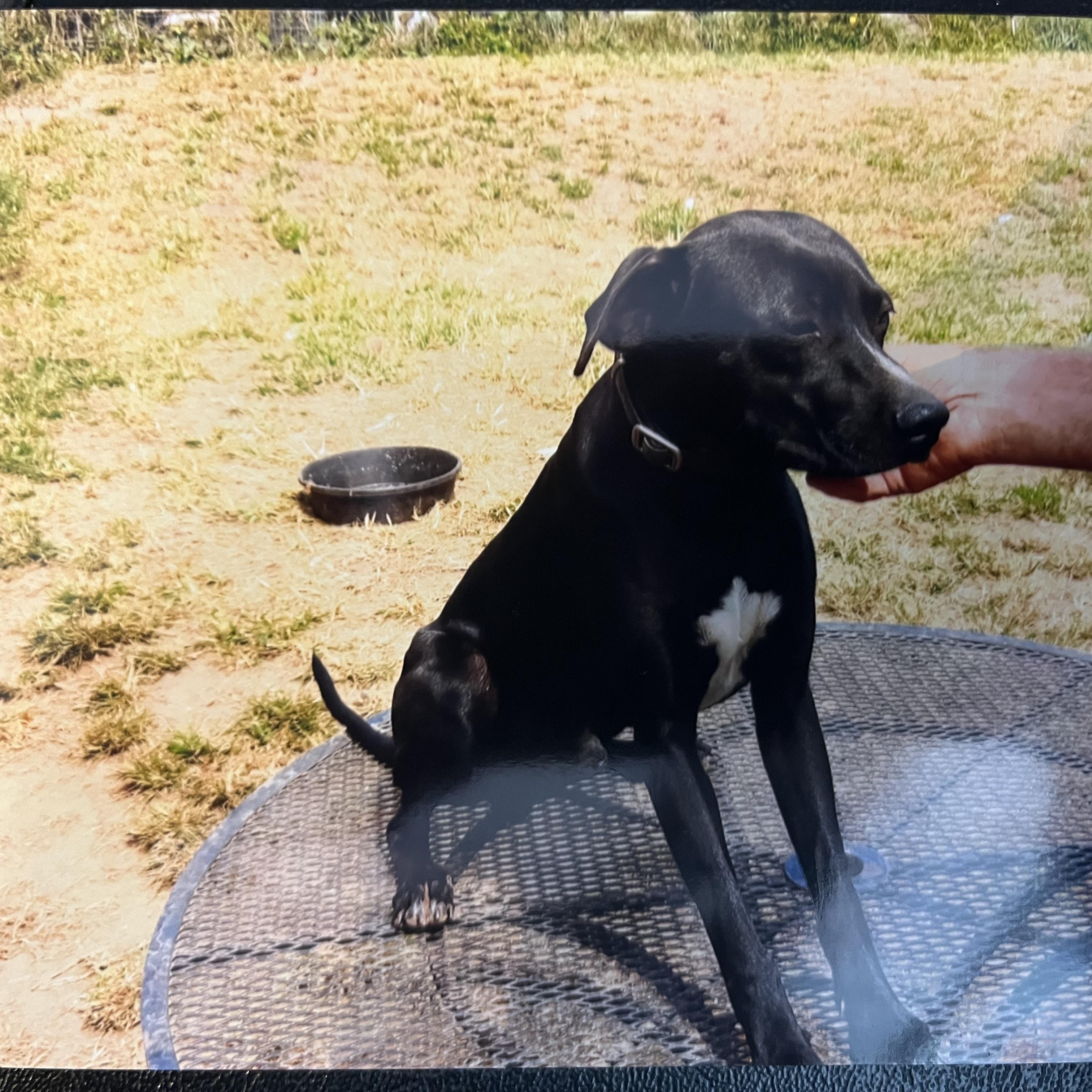 Stripe (Community Assist)