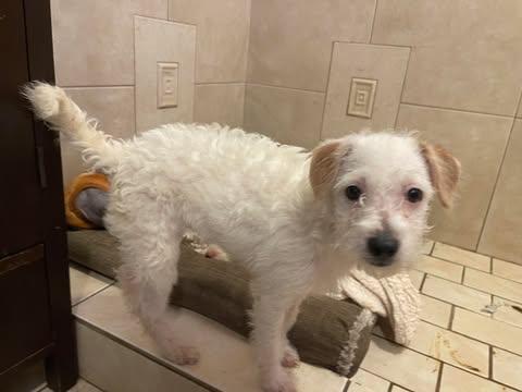 Pau  Months  thumbnail 3