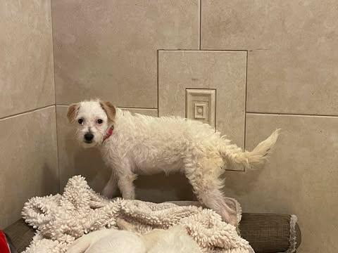 Pau  Months  thumbnail 4