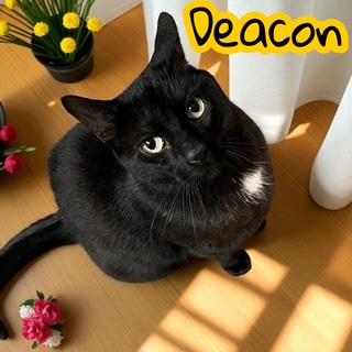 Deacon
