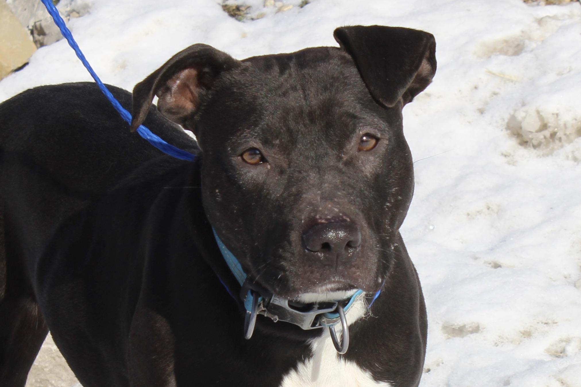 BUBBLES — thumbnail 2