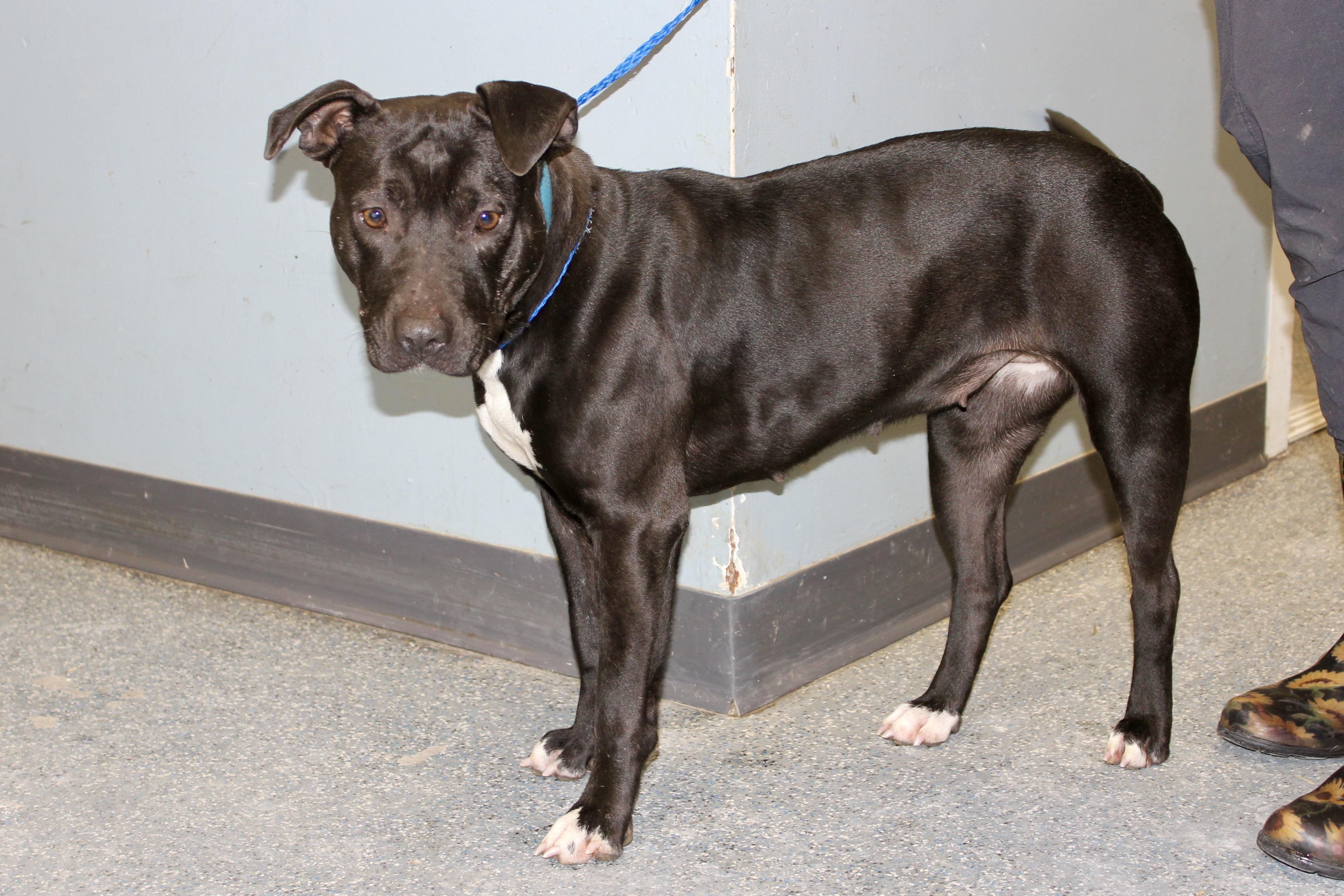 BUBBLES — thumbnail 3