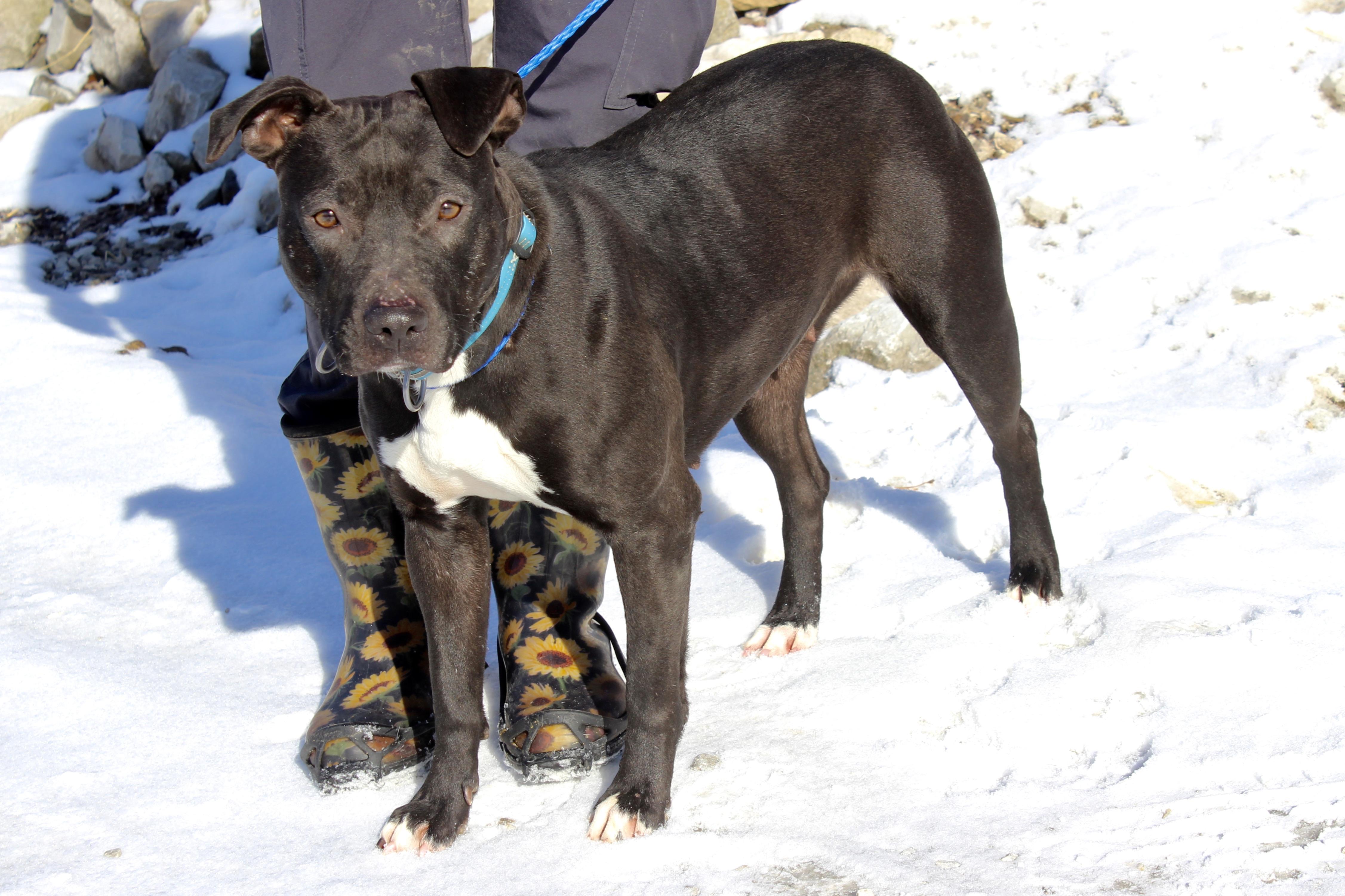 BUBBLES — thumbnail 4