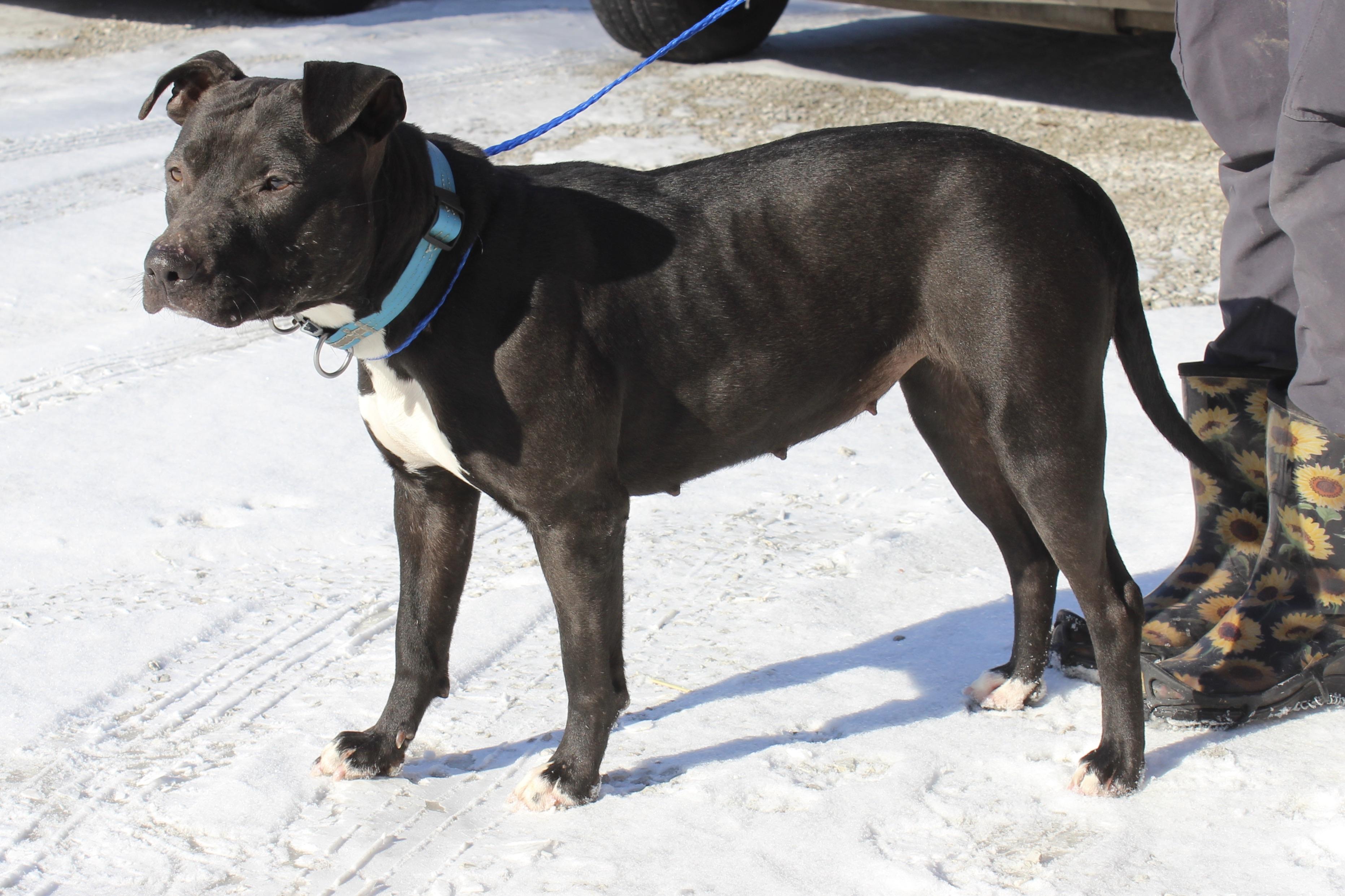 BUBBLES — thumbnail 5