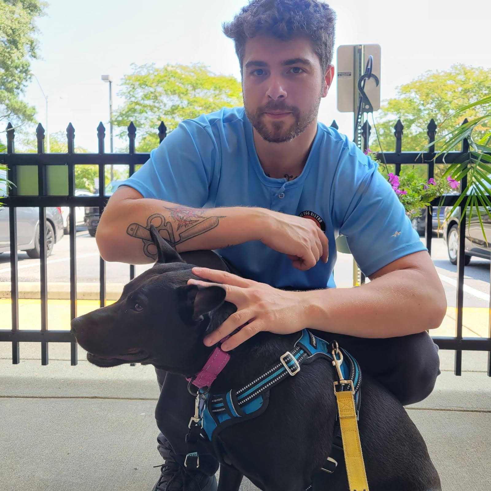 Enlarge Arabella, a Adoptable mixed breed in Roswell, GA image 6/6