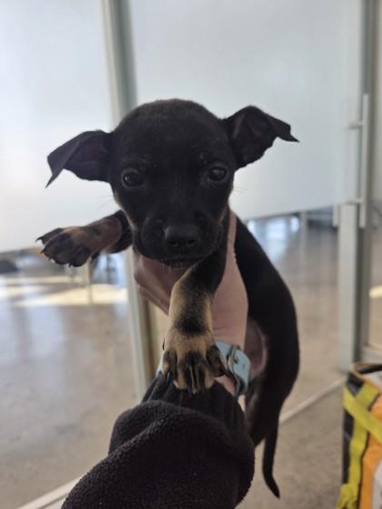 Wednesday thumbnail 2