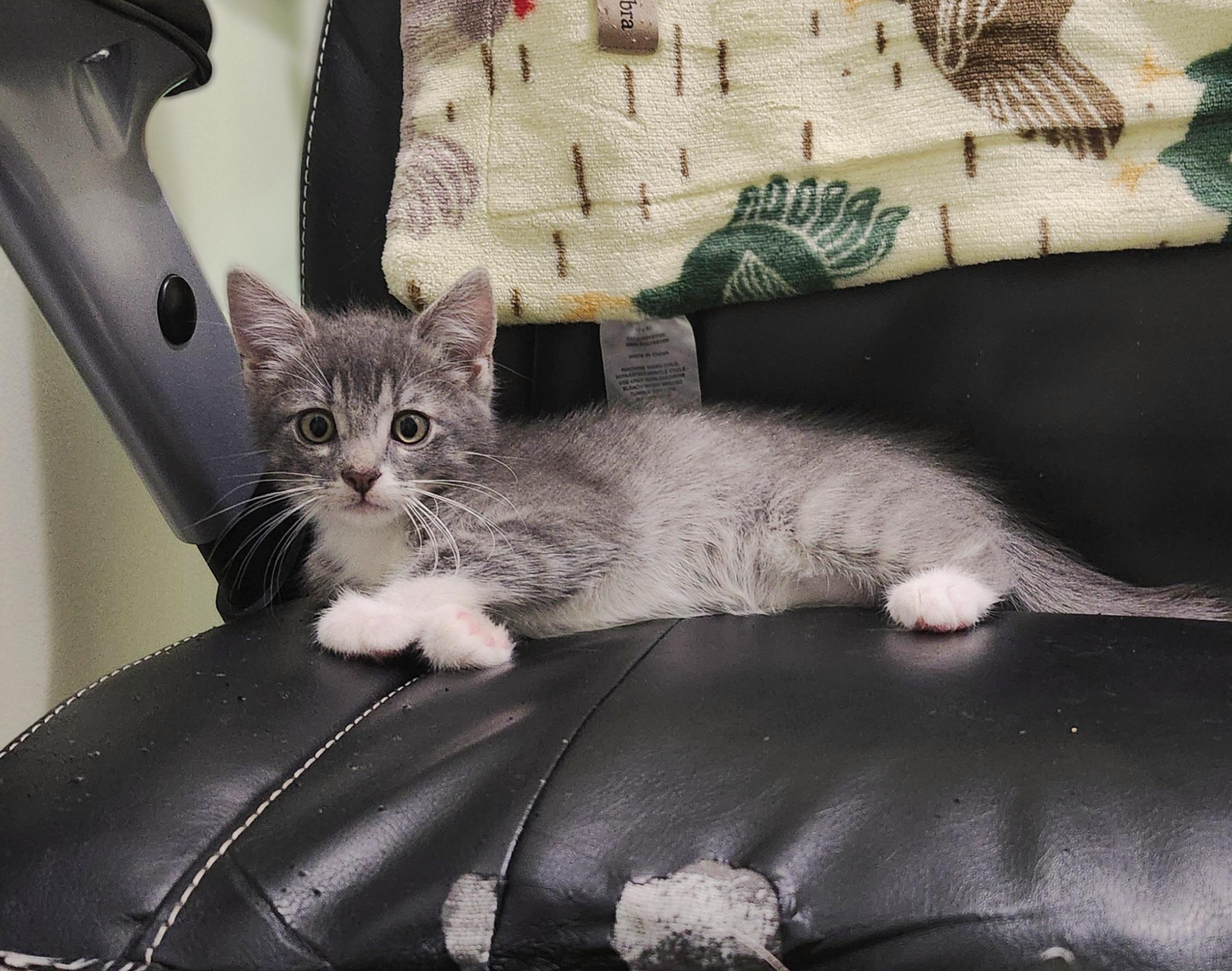 Harold, Marold, and Gerald -- (ck)