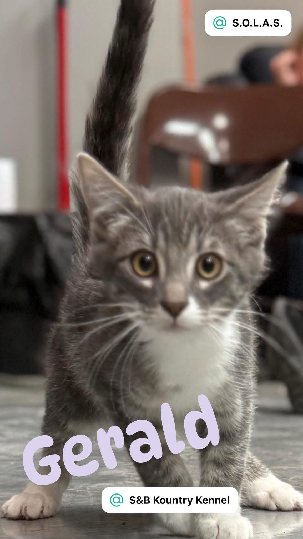 Harold, Marold, and Gerald -- (ck)