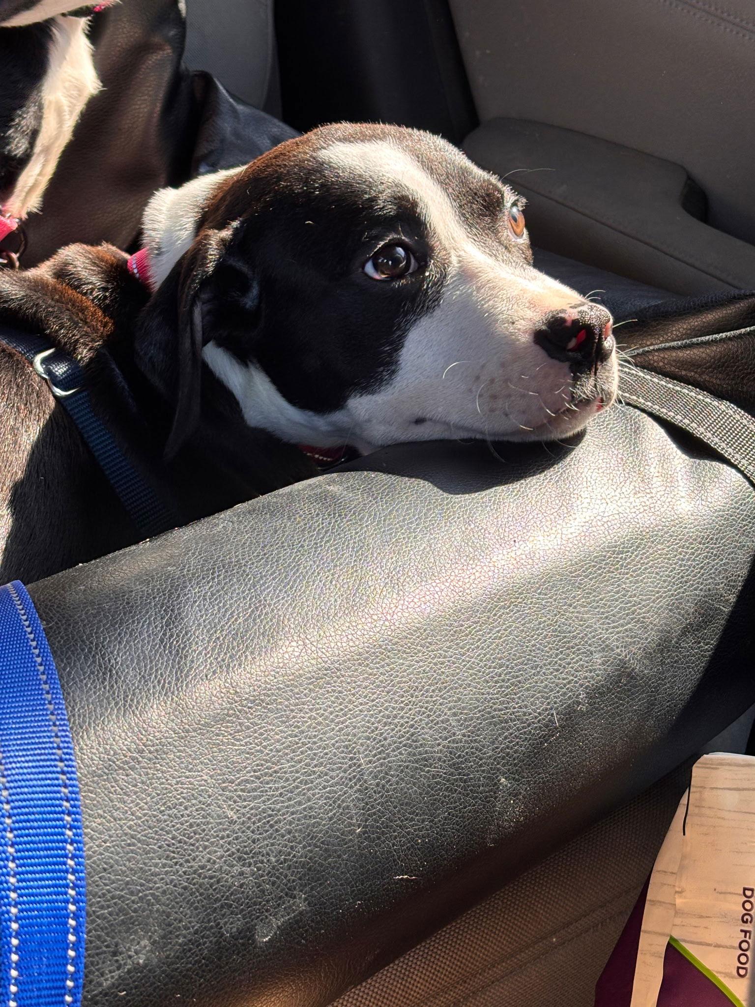 Eleven — thumbnail 2