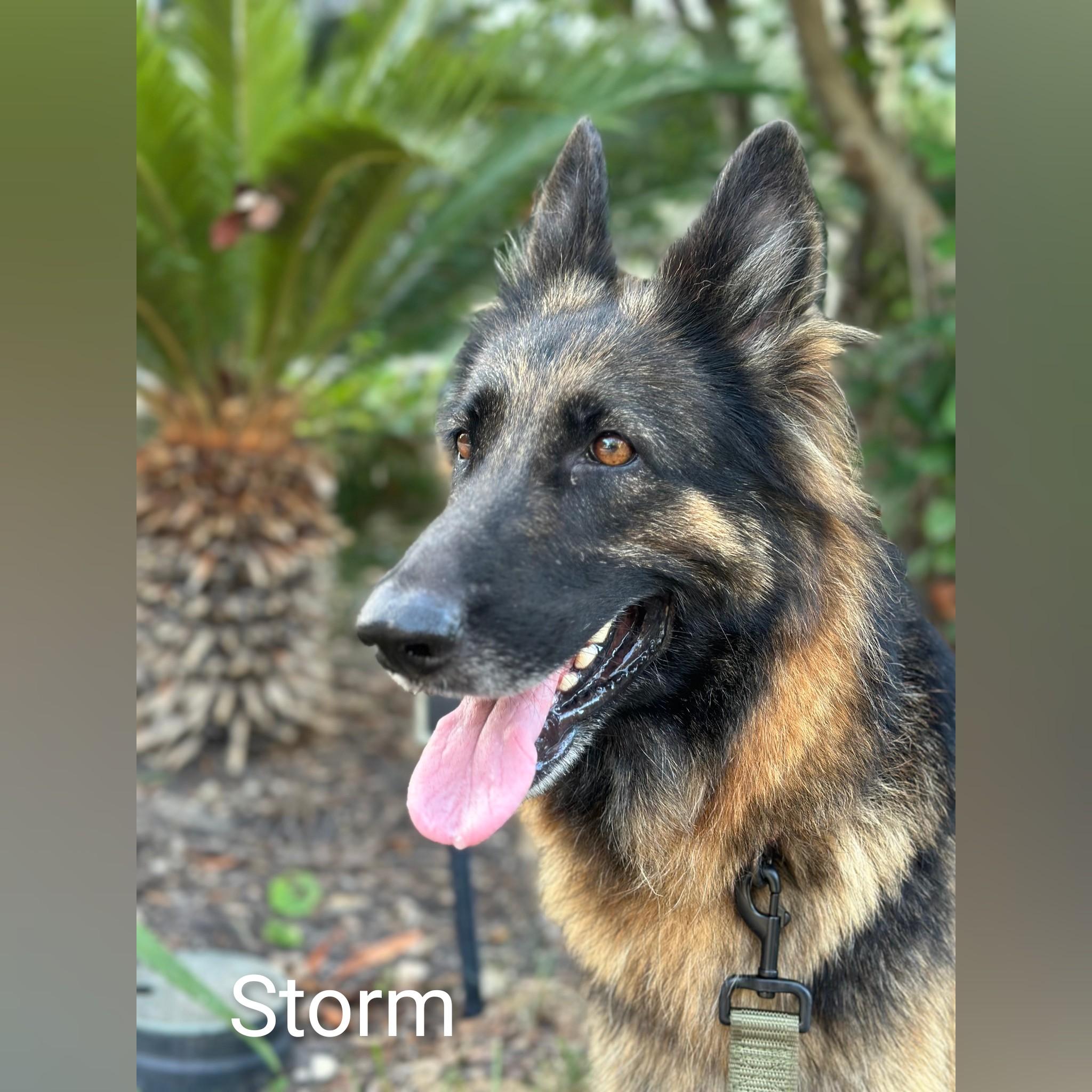 Storm