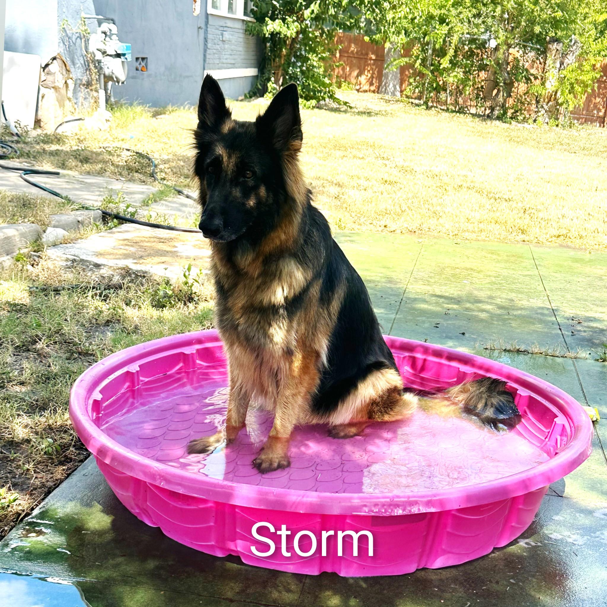 Storm