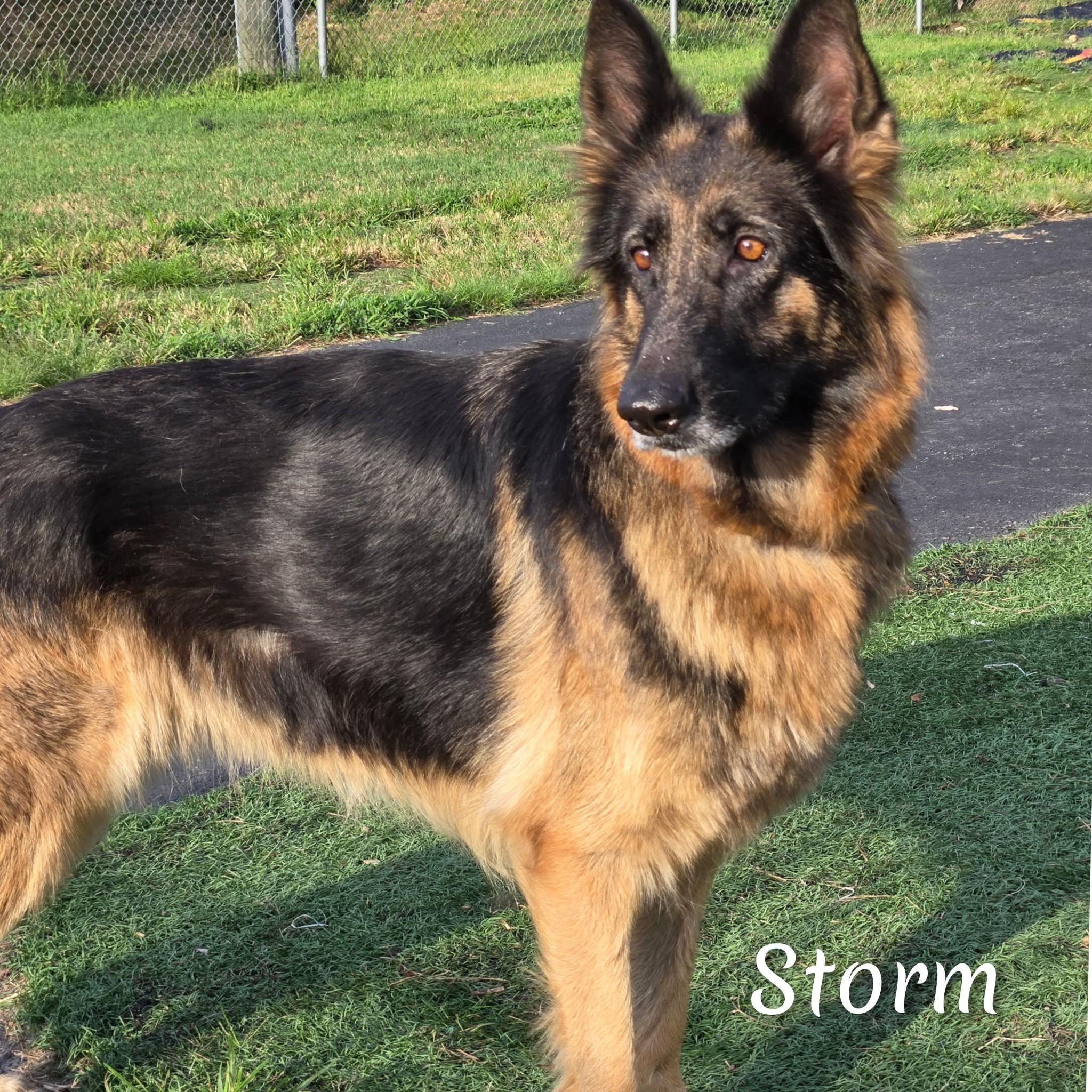 Storm
