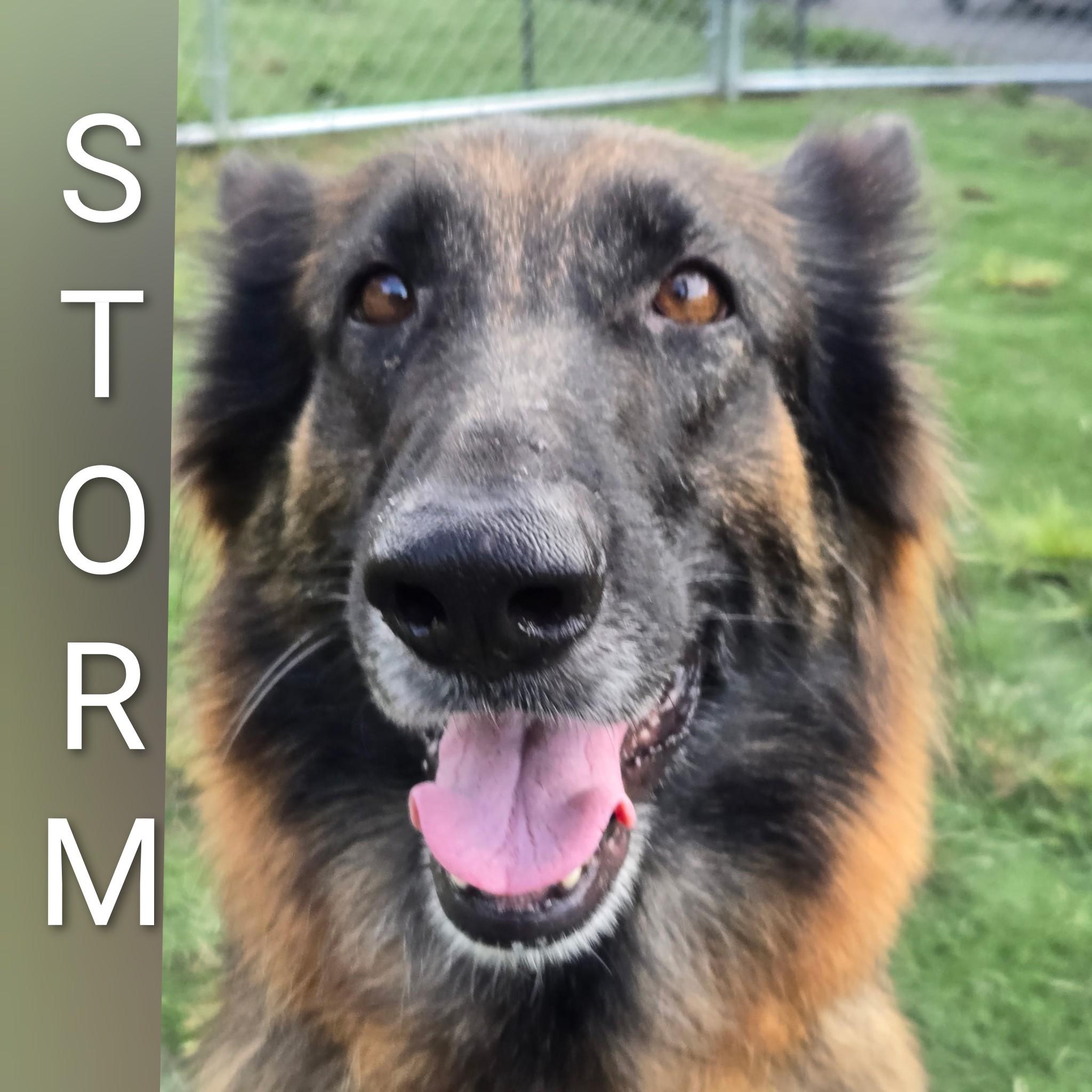 Storm