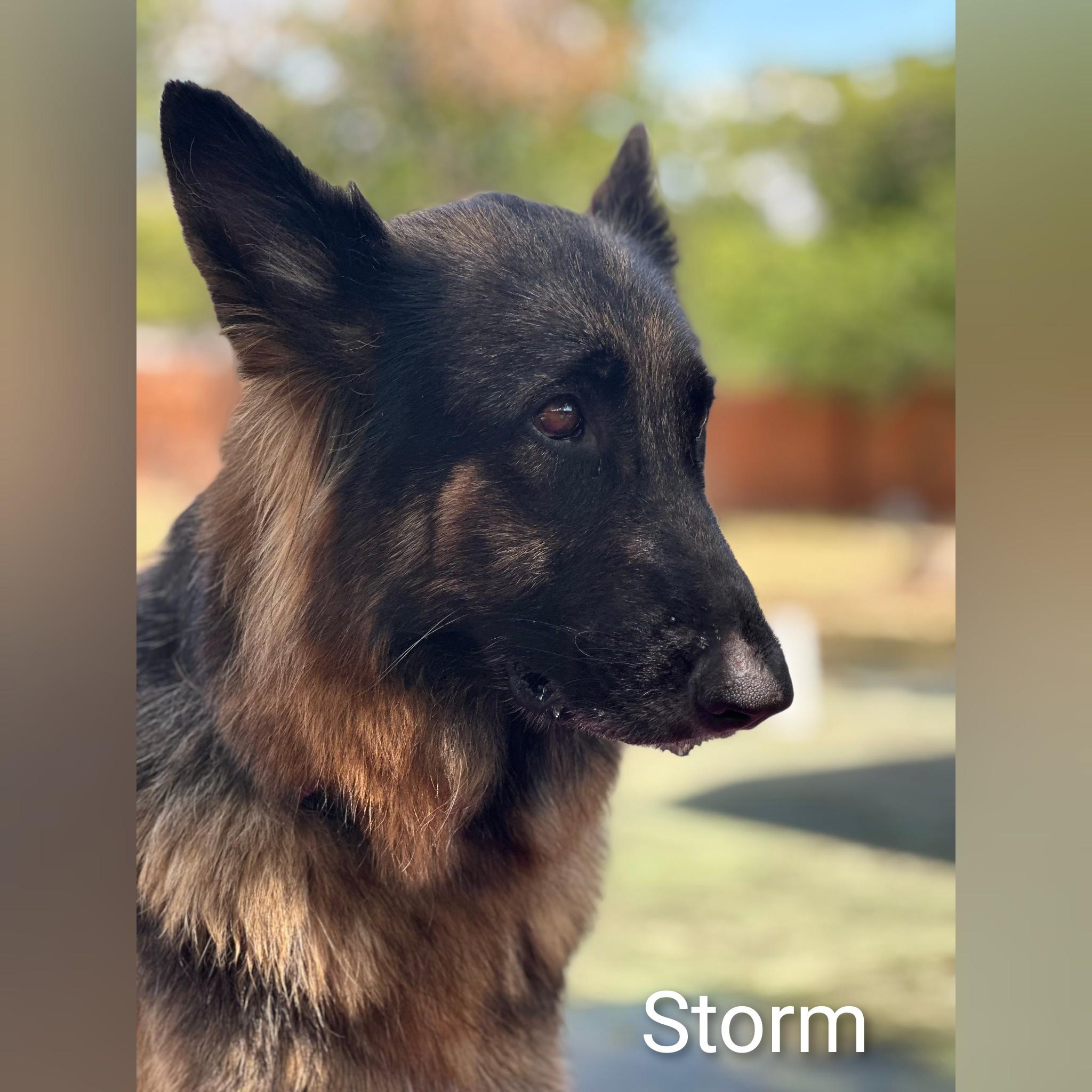 Storm