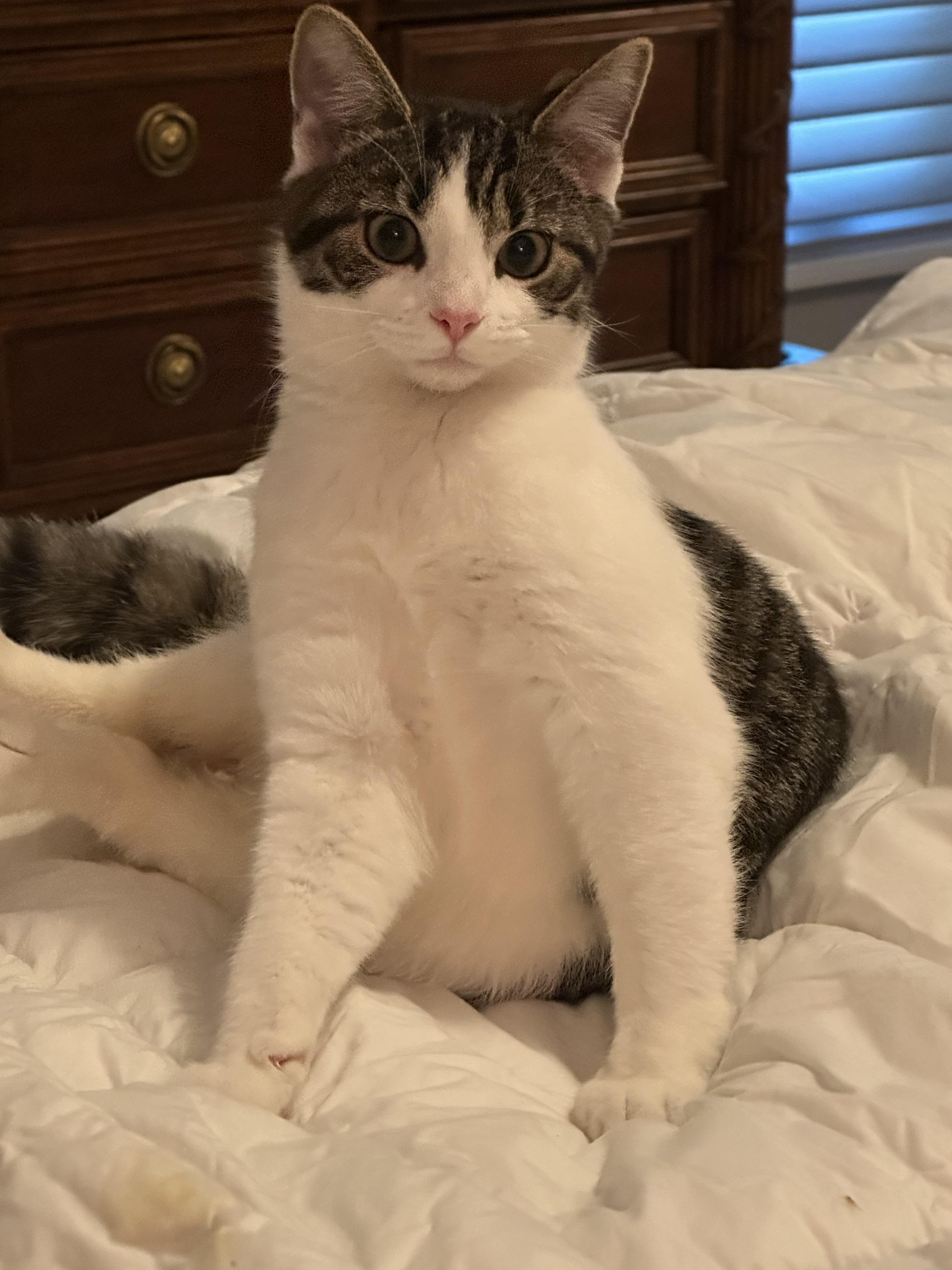 Jude - Special needs