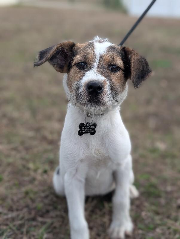 Confetti thumbnail 5