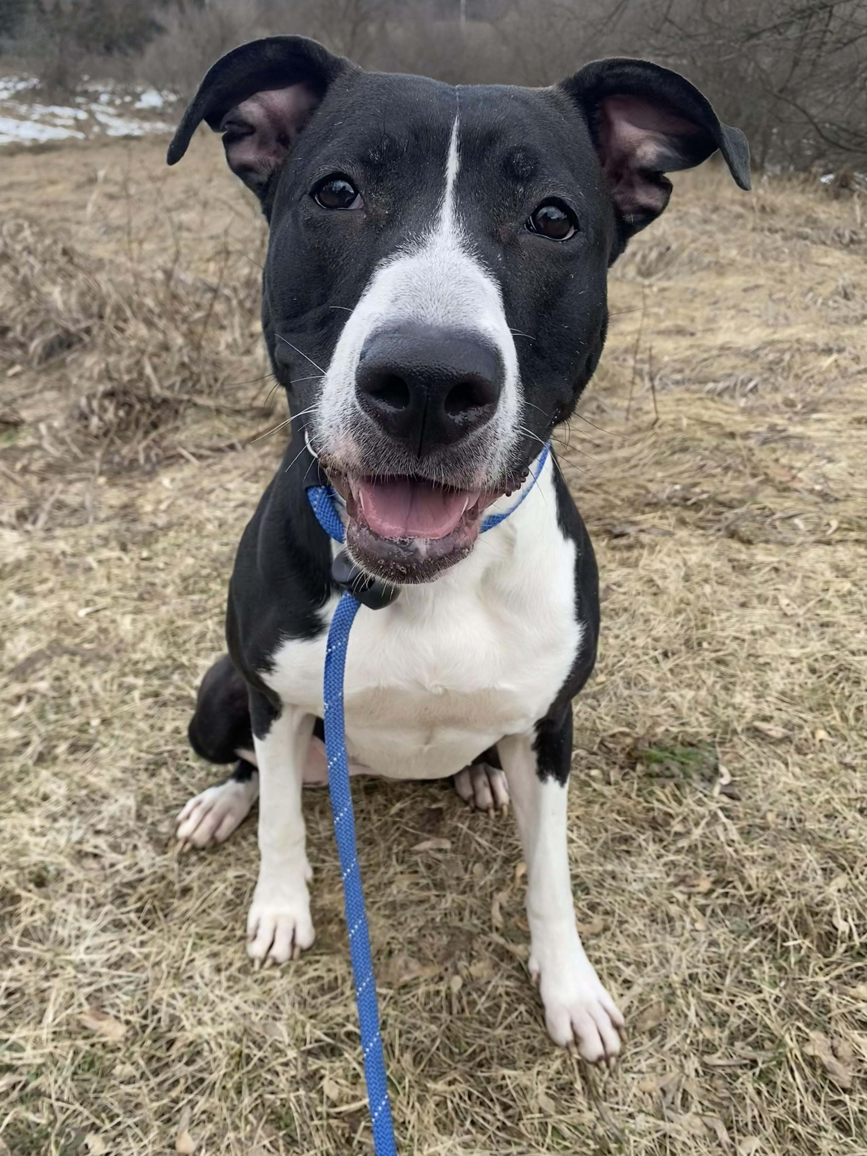 Julup — thumbnail 2