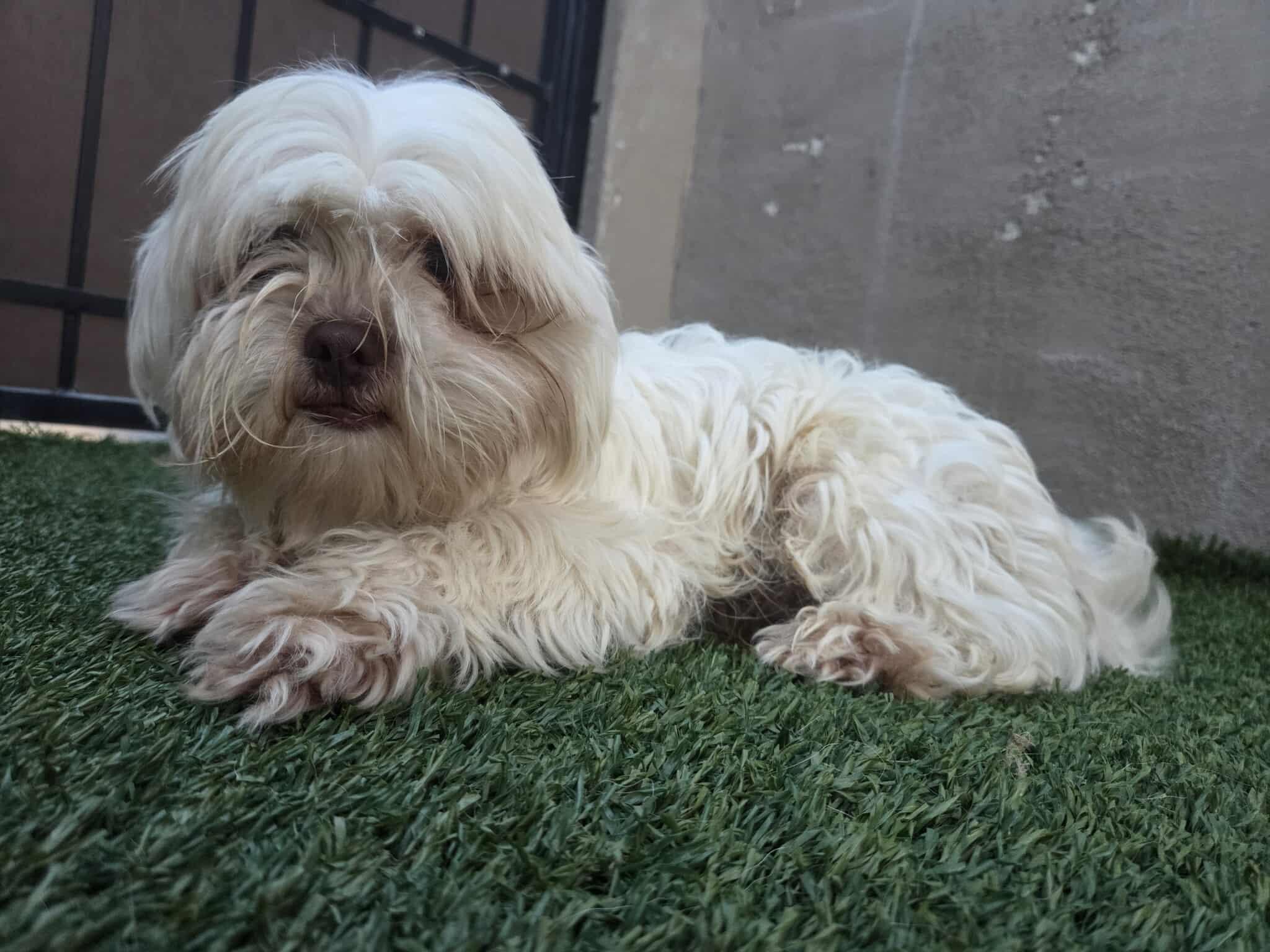 College Kids - Oxford