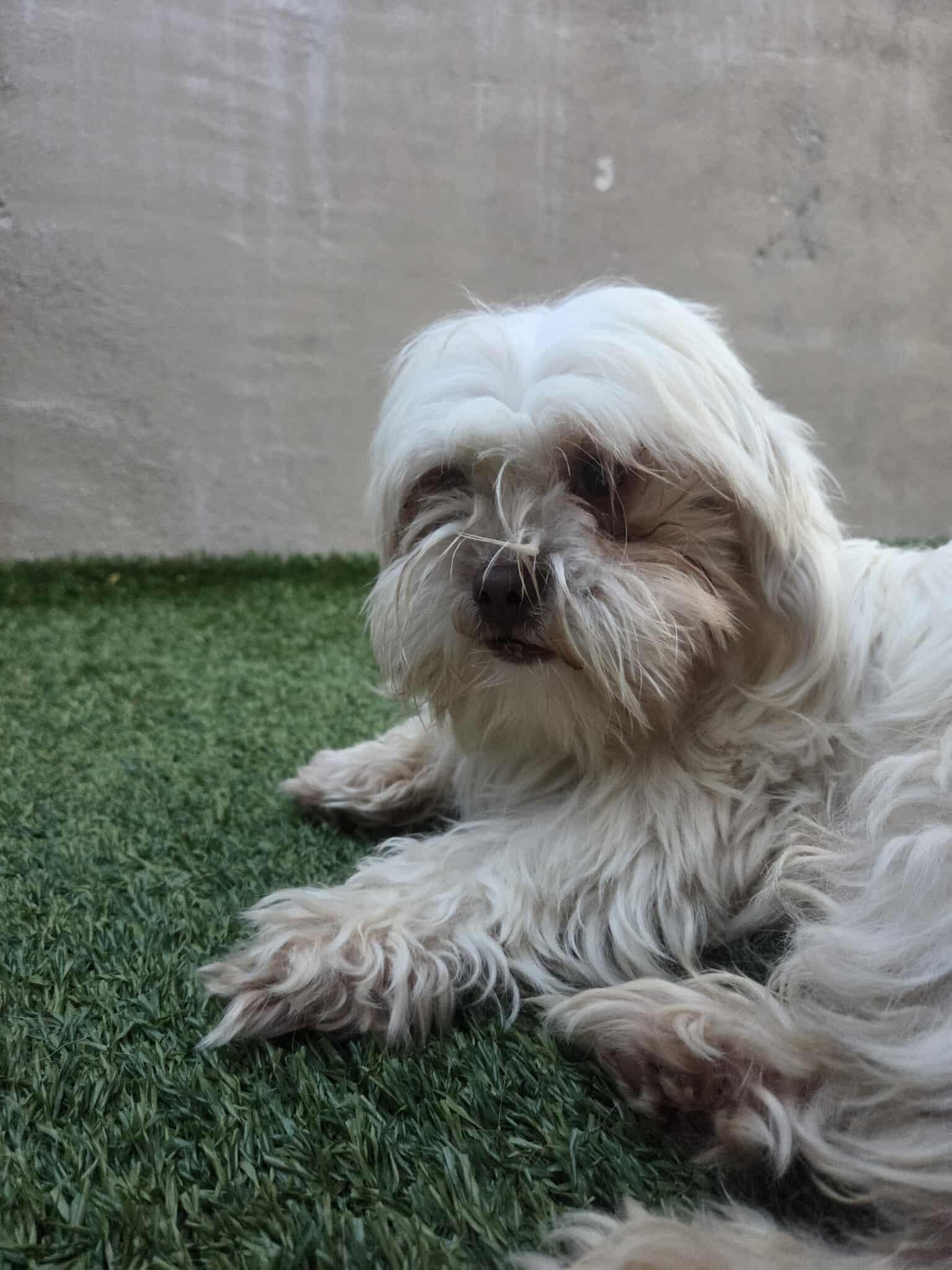 College Kids - Oxford