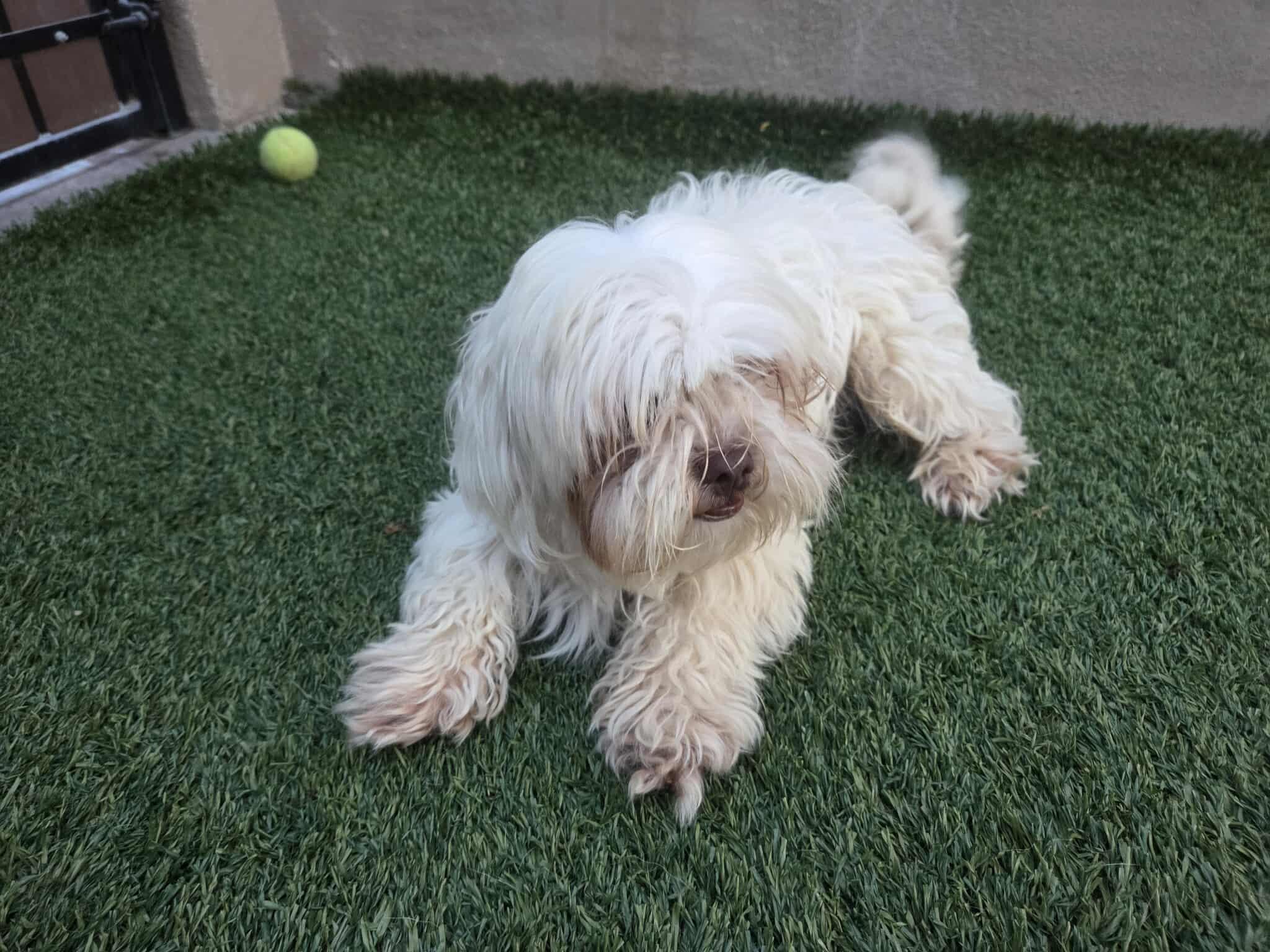 College Kids - Oxford