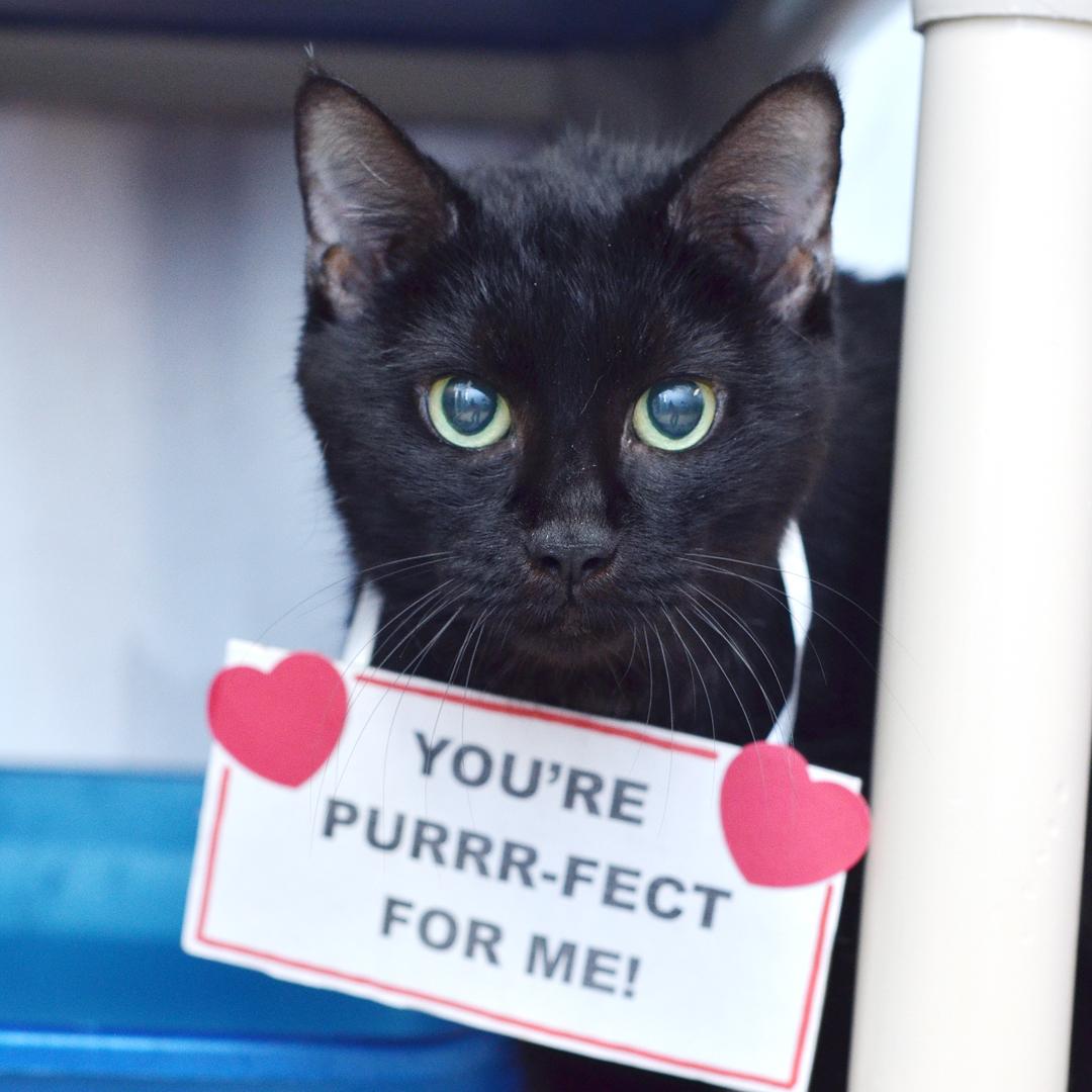 PARIS — thumbnail 2