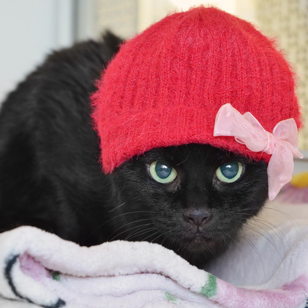 PARIS — thumbnail 3