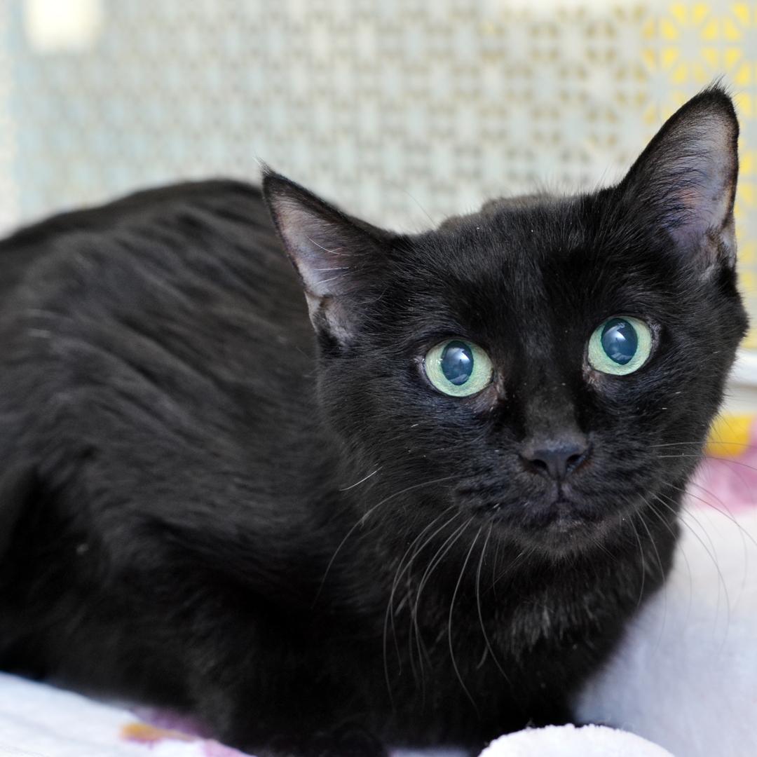 PARIS — thumbnail 4