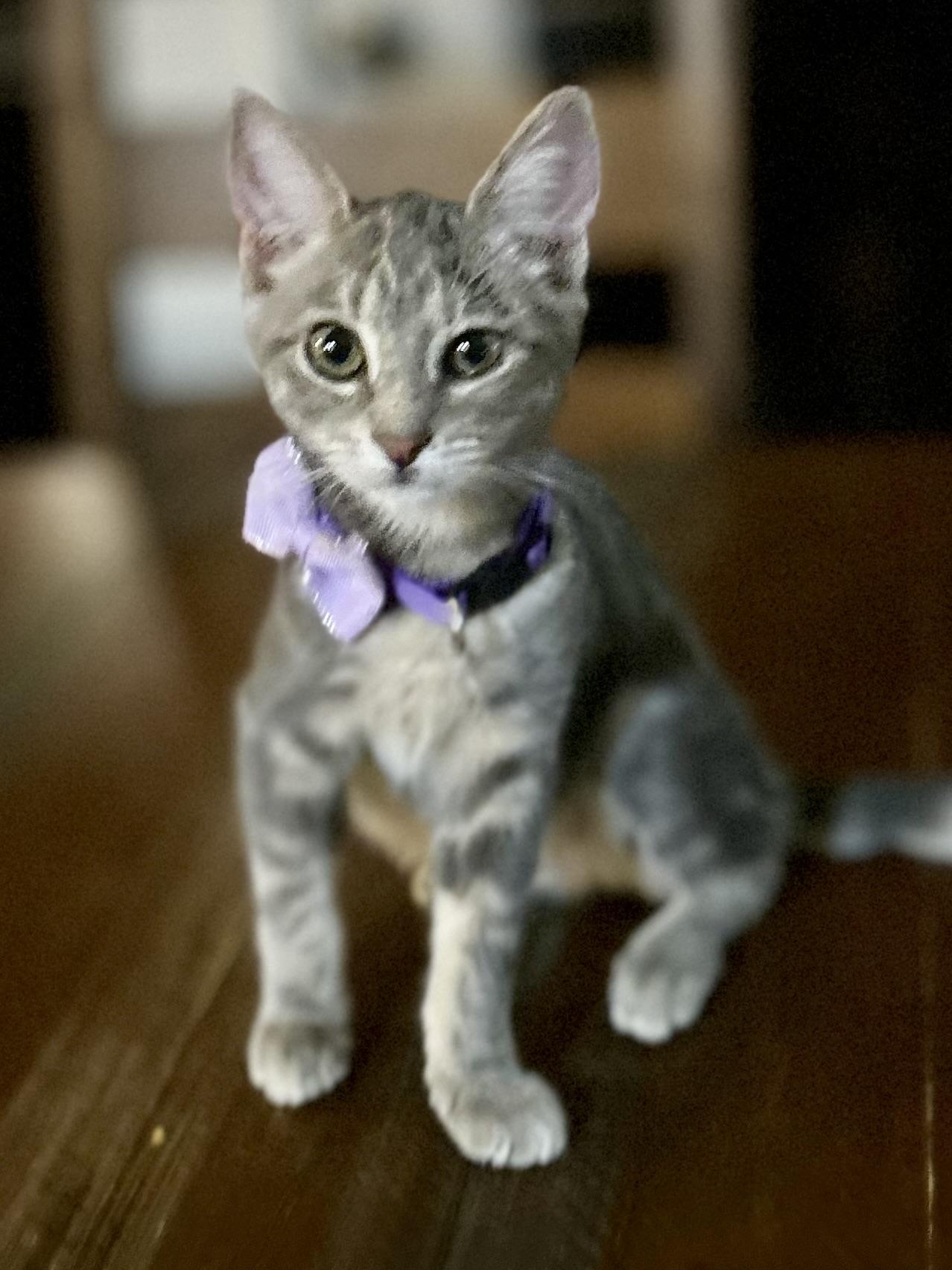 Lila photo 3
