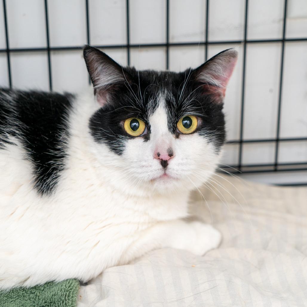 Maui Chaplin thumbnail 2