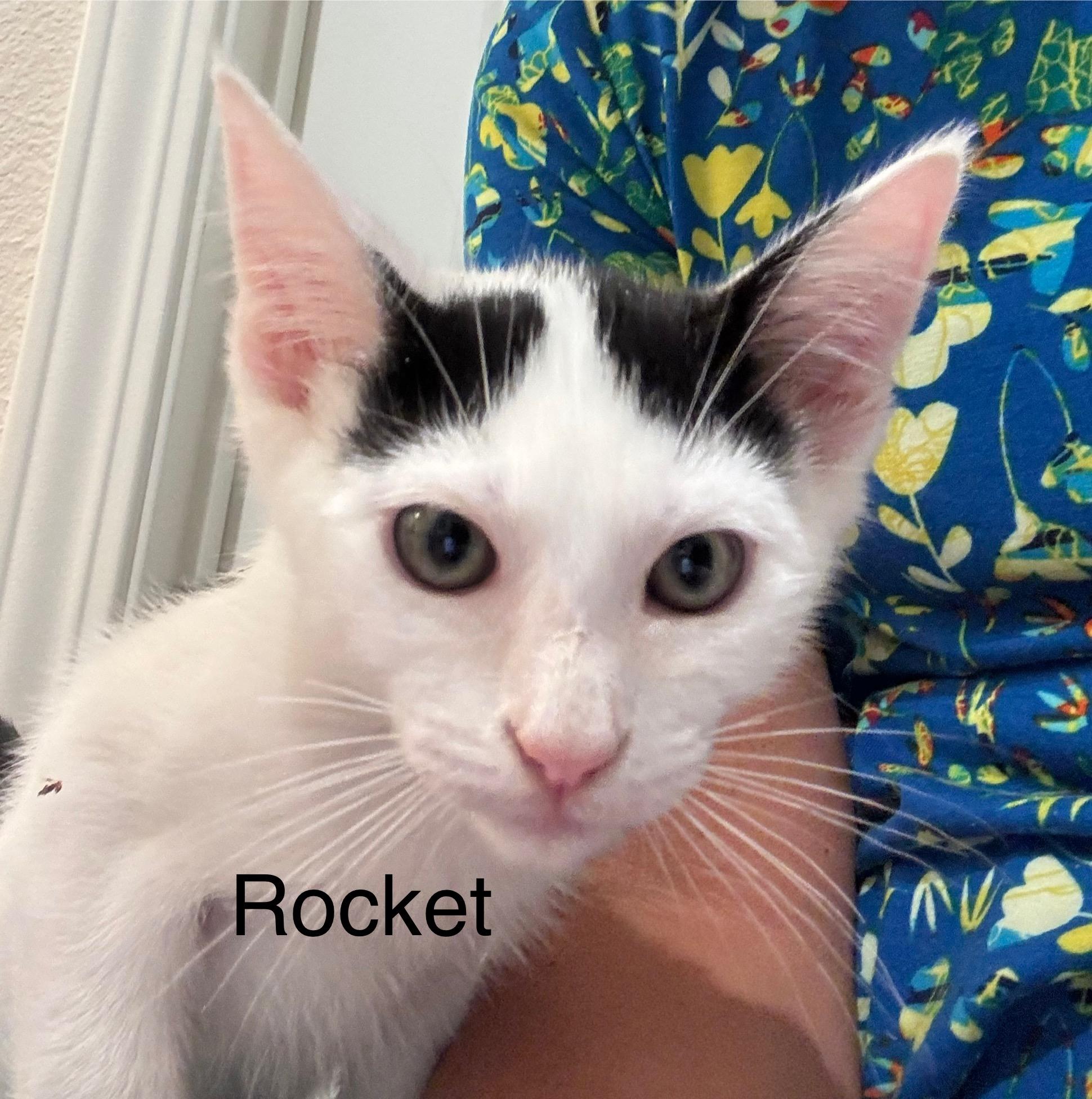 Rocket
