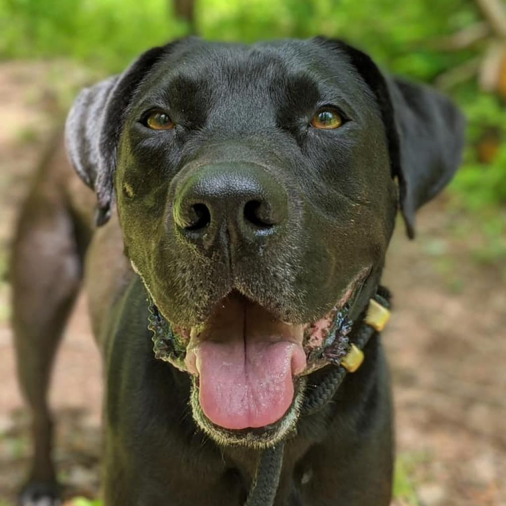 Marvin — thumbnail 5