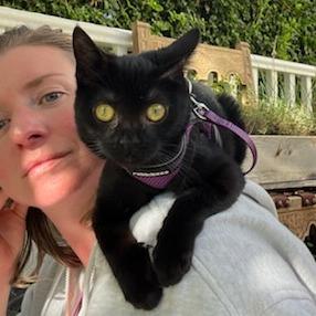 Buttons, a Adoptable mixed breed in Sonoma, CA image 6/6