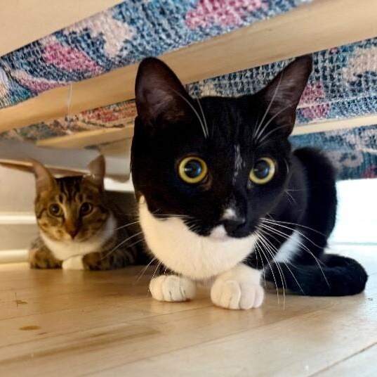 Wednesday Wonderful — thumbnail 3