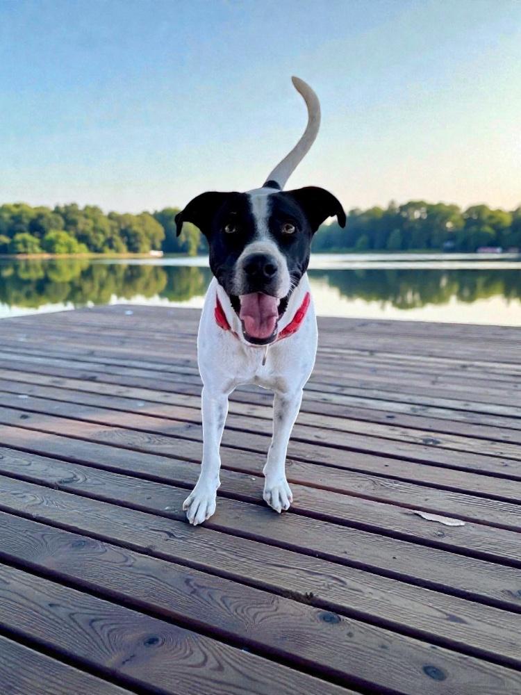 Popi — thumbnail 2