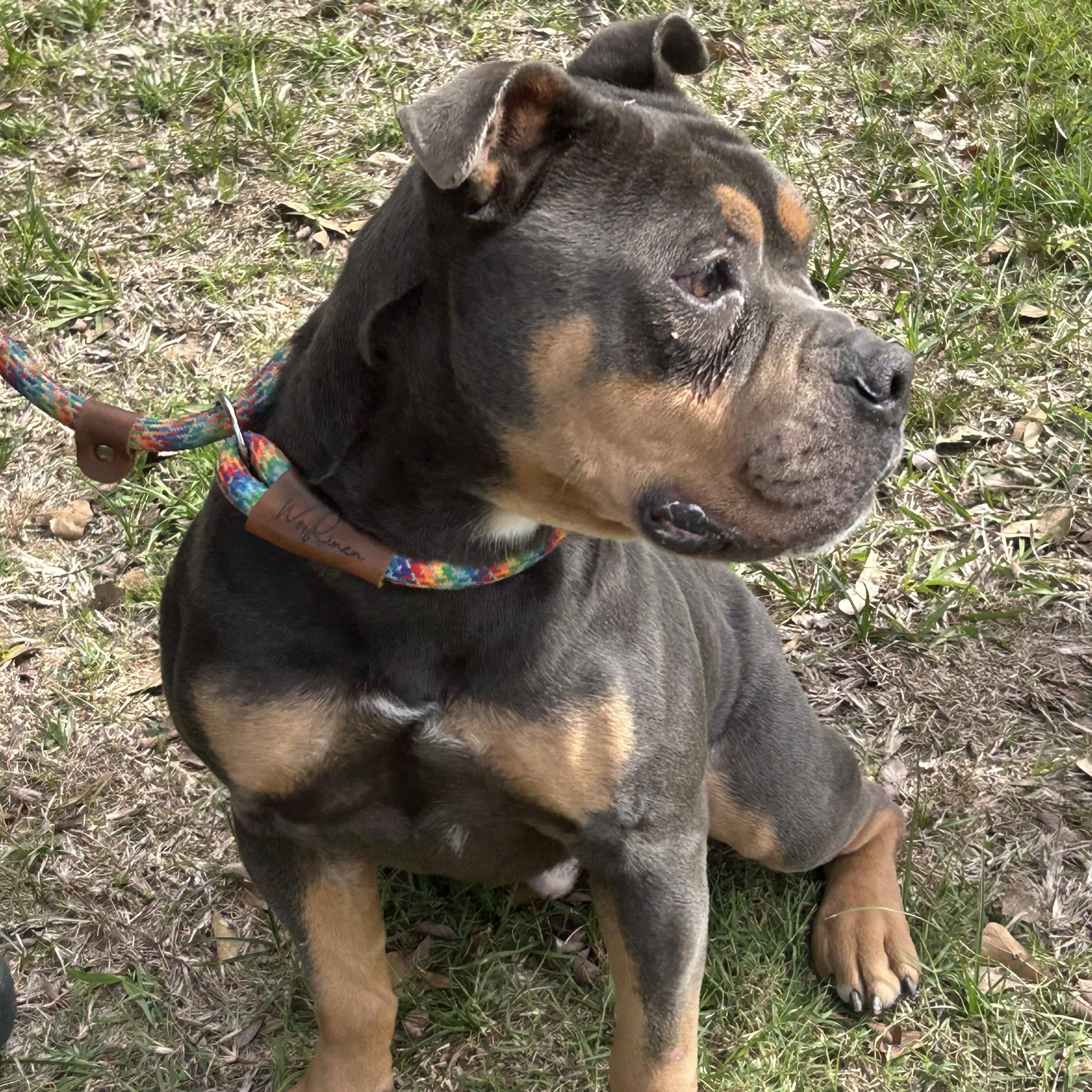 Chunk — thumbnail 3